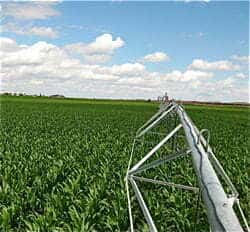 Irrigation_Corn