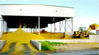 DistillersGrains Nebraska's corn ethanol industry will produce some 2.4 million metric tons of distillers grains like these this year. Distillers grains and other corn co-products are outstanding feed ingredients for livestock and poultry.