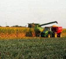 CornHarvest